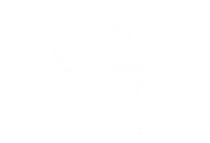 Professional Services