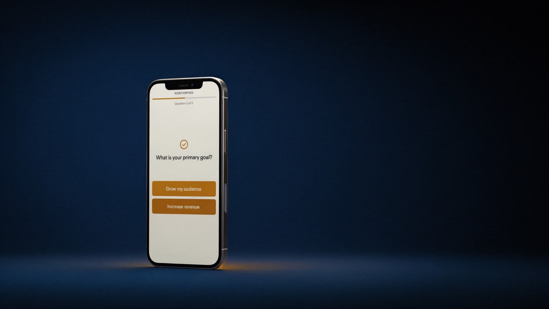 Quiz funnel on a phone